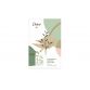Set Dove Naturally Refreshing: Antiperspirant spray, 150 ml + Gel de dus, 250 ml
